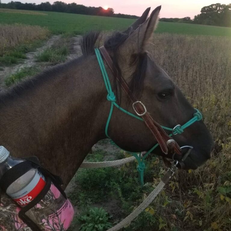 121062686 3327147584073439 1253839868089714372 n 768x768