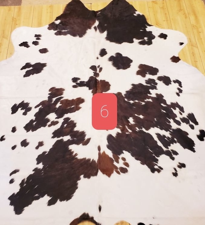 186546177 4652373598110446 562819810290324207 n