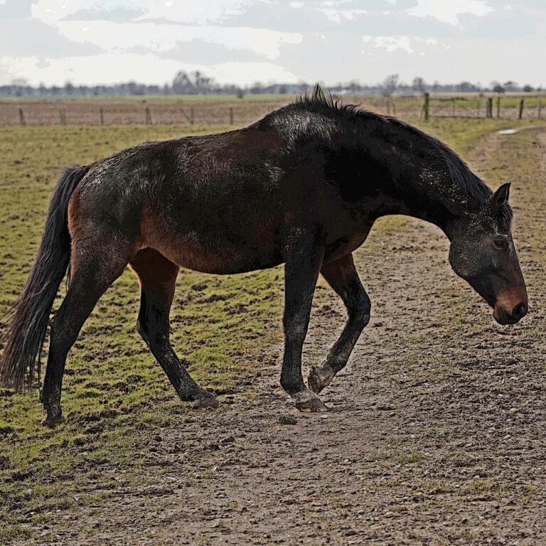 285739082 384285057000400 3314512996806383365 n 768x768