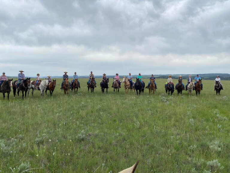 287692494 10221856944436504 8018344194570182975 n 768x576