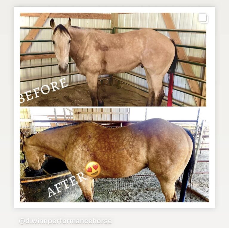 291517966 405464848215754 2620508128589847344 n 768x762