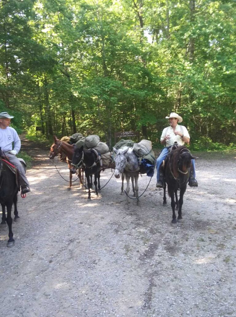 306928608 501136555351105 1747761503879179764 n 768x1032