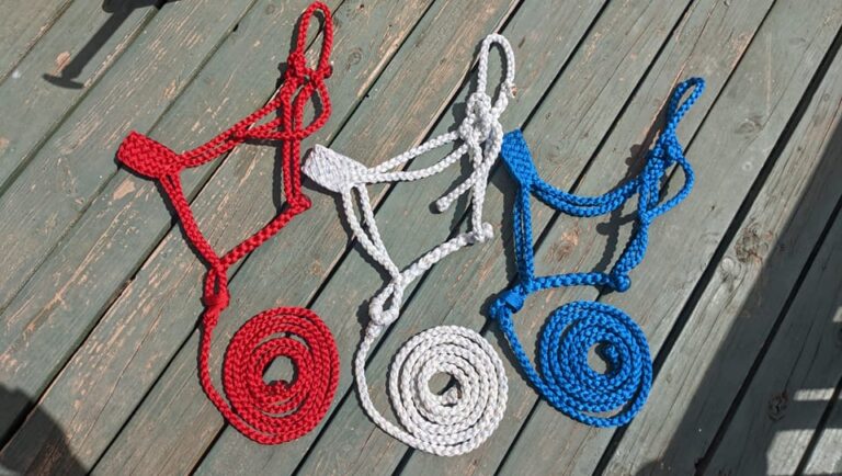 307773326 518568436937453 4550725973127278596 n 768x434