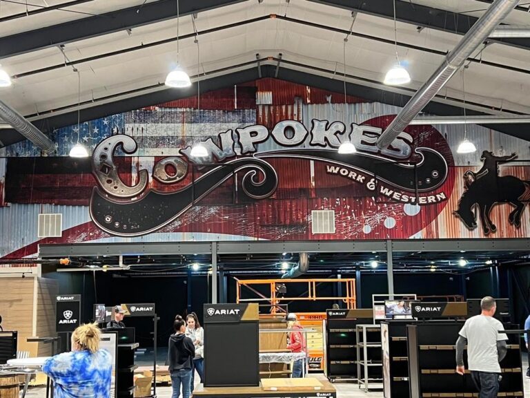 322723737 5500261313429855 1665486327372323360 n 768x576