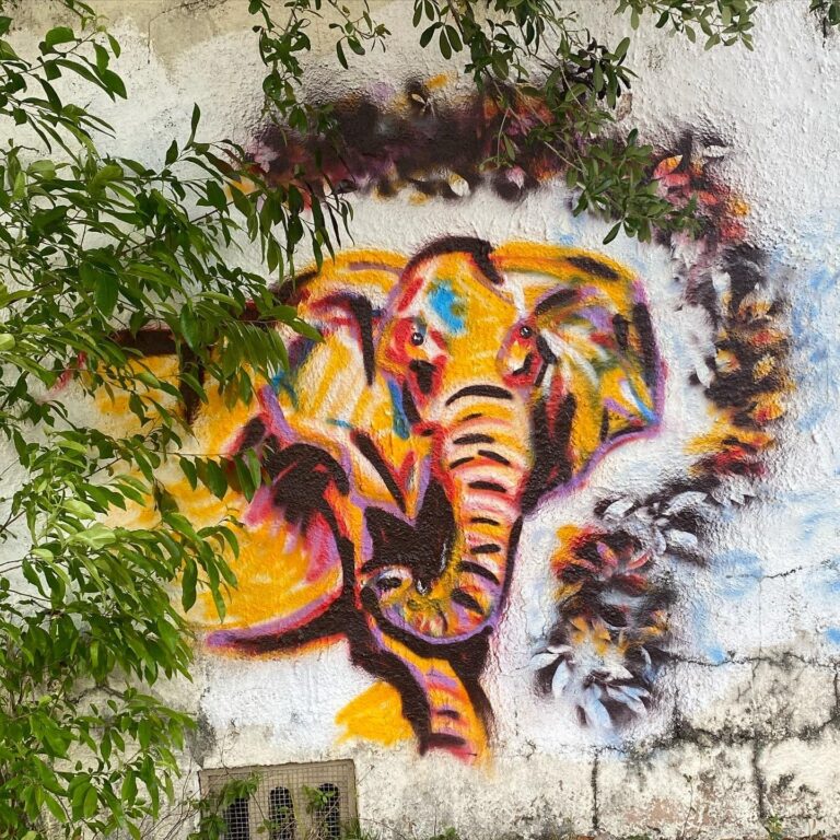 339413185 1297895677606229 1041412761636035012 n 768x768