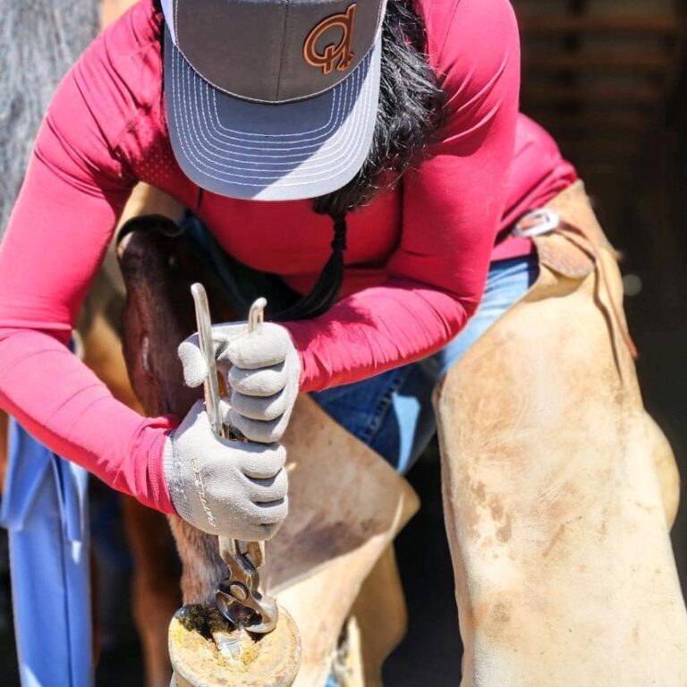 346465873 819704046252647 5205934983673931093 n 768x768