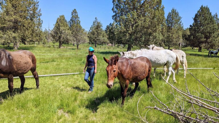 351175654 718359240061836 7494891202206090059 n 768x432