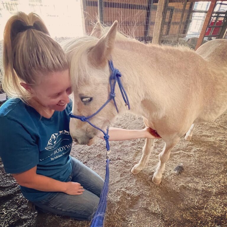 360111895 261678759954817 418220826134851344 n 768x768