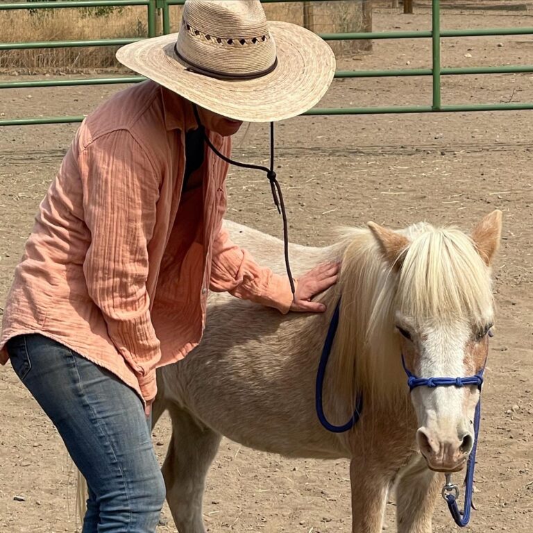 378113141 296680319787994 58055815374476676 n 768x768