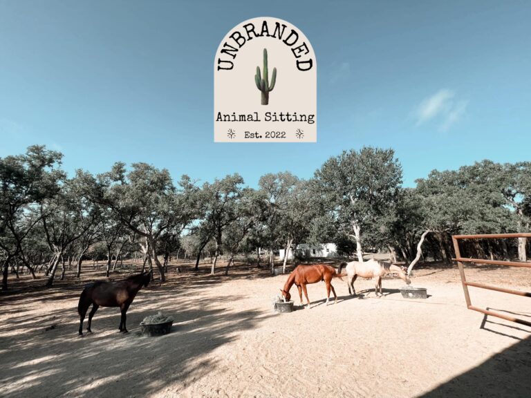 378516994 270033655925399 2432725335086228456 n 768x576