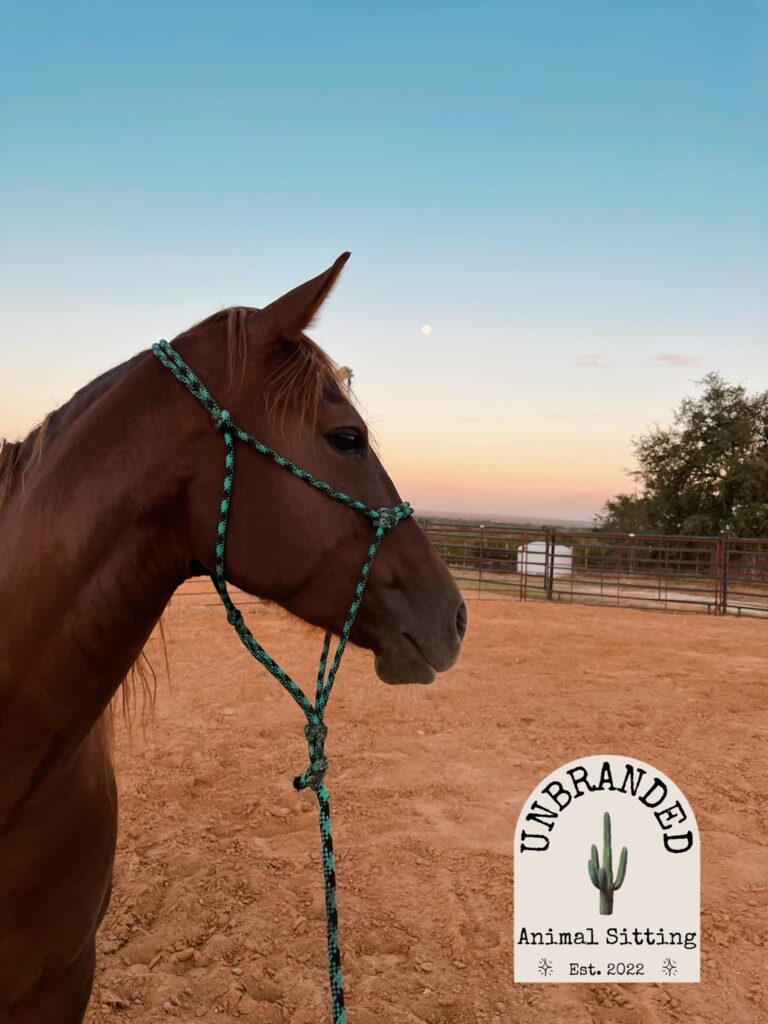 384656927 280556301539801 2171734422593946939 n 768x1024