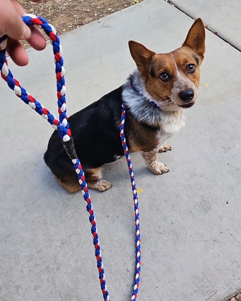 395723708 829444892516471 1918996454671184320 n