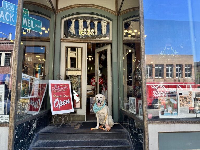 407391557 783870767082987 7285302617440669371 n 768x576