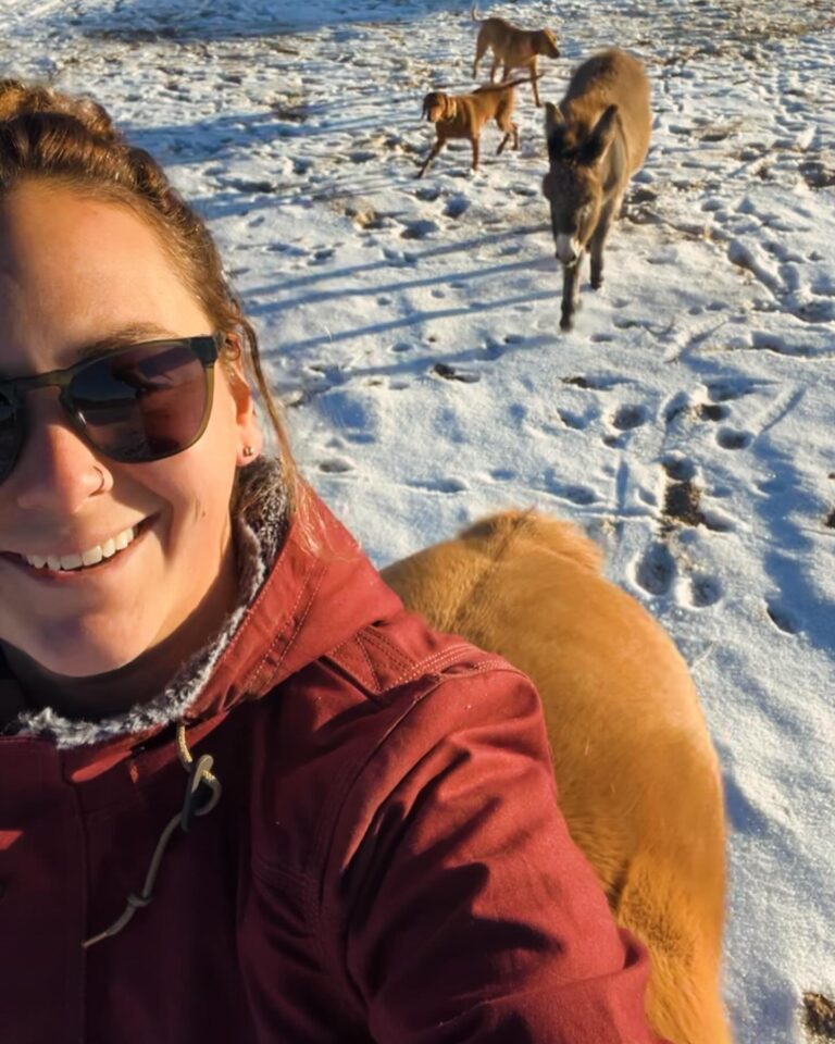 411202757 18404999494040512 8749131759742596995 n 768x960