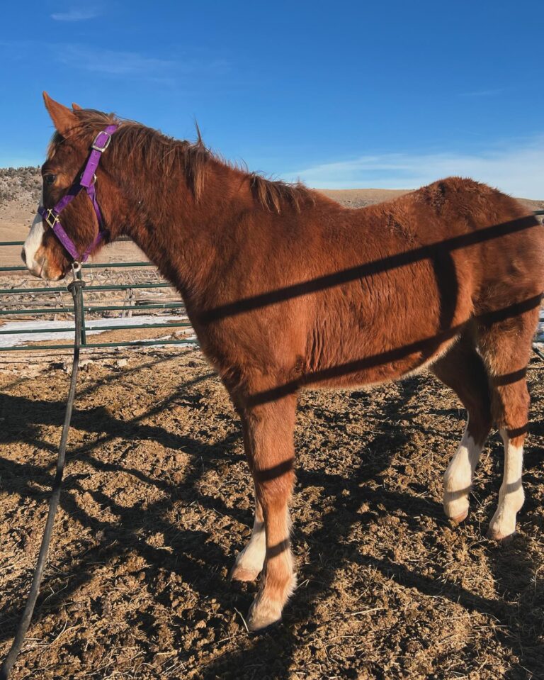 423247767 18413054587040512 1503839827801007818 n 768x959