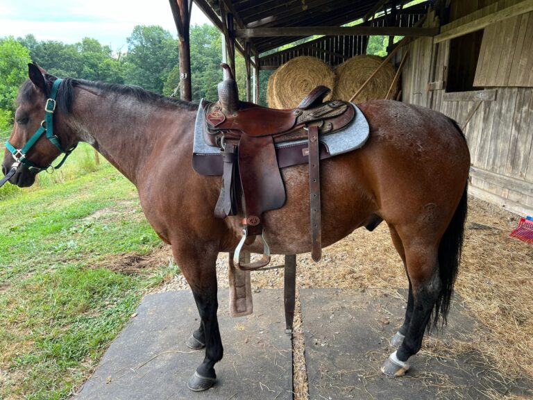 427791587 122122503314161954 9063082935784325461 n 768x576