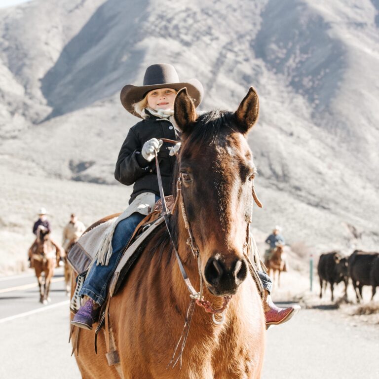 430112499 17906594180927709 78158067586895340 n 768x768