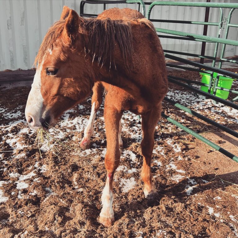 438255163 999778452148694 3861342966551131508 n 768x768