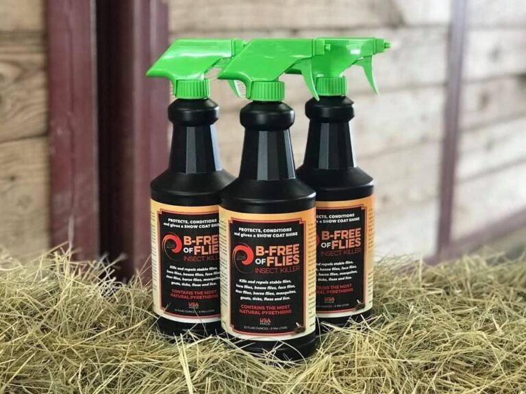 441060663 957173089532025 6240808048573541641 n 768x576