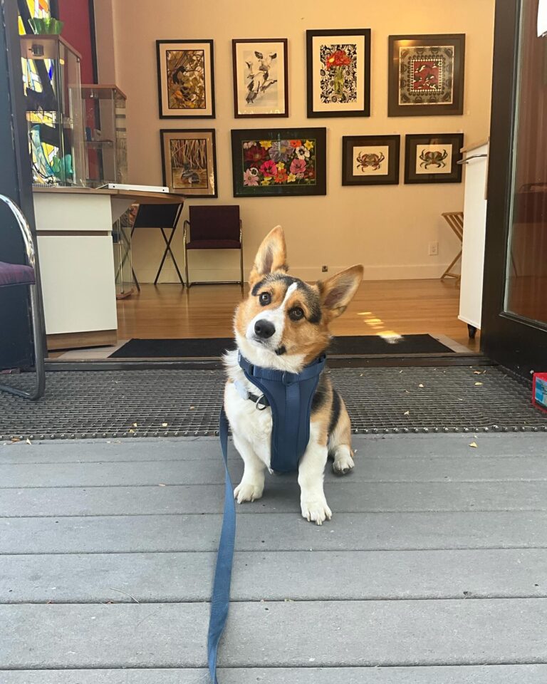 453060976 17924385182927709 7136475315610306828 n 768x960