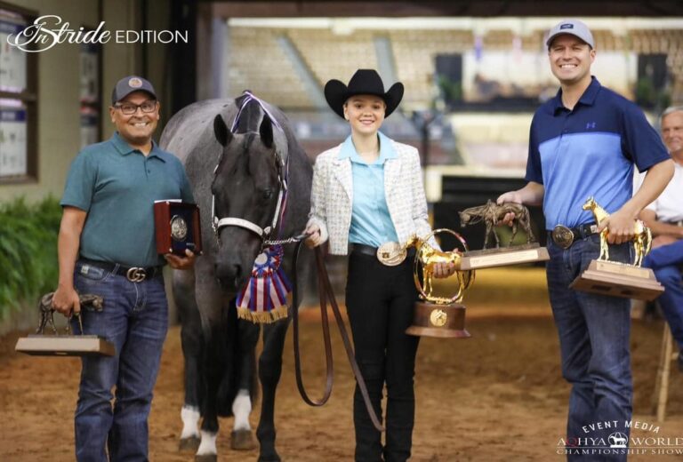 453655694 1032872025510356 2458970726323886823 n 768x520