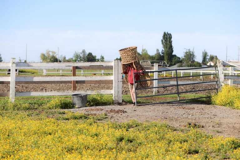 454005397 17925474899927709 6943162716170631087 n 768x512