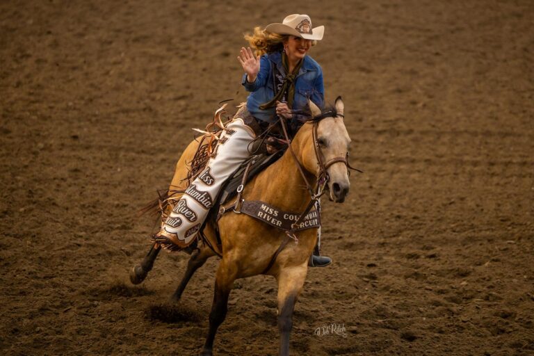 456532531 809799081138448 1892070586966134357 n 768x512