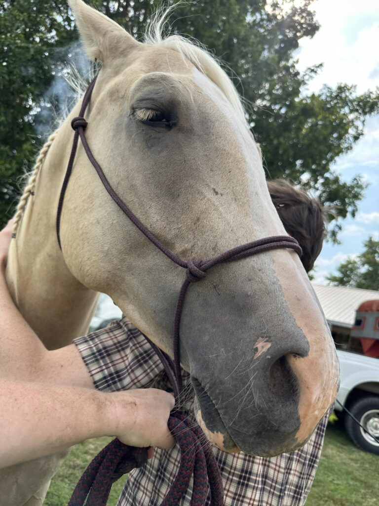 456558709 122186284028072181 2515756110729130351 n 768x1024