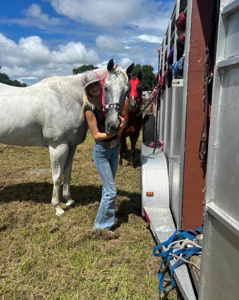 458162654 964731219001413 7227482188844080247 n 768x963