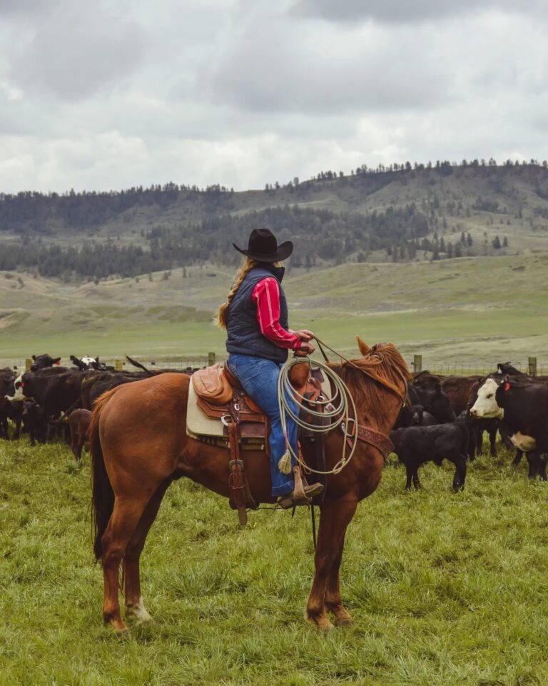 458415086 1293006855392519 3999247070773254364 n 768x961