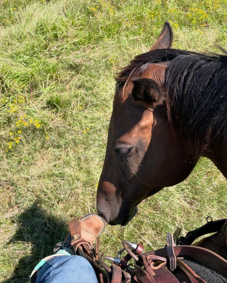 458973092 18128105743370236 2143159355776691801 n 768x960