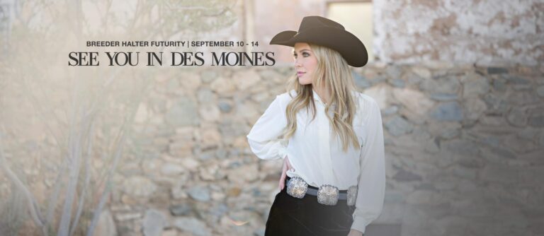 459145444 1060858129378412 8340430723886233048 n 768x334