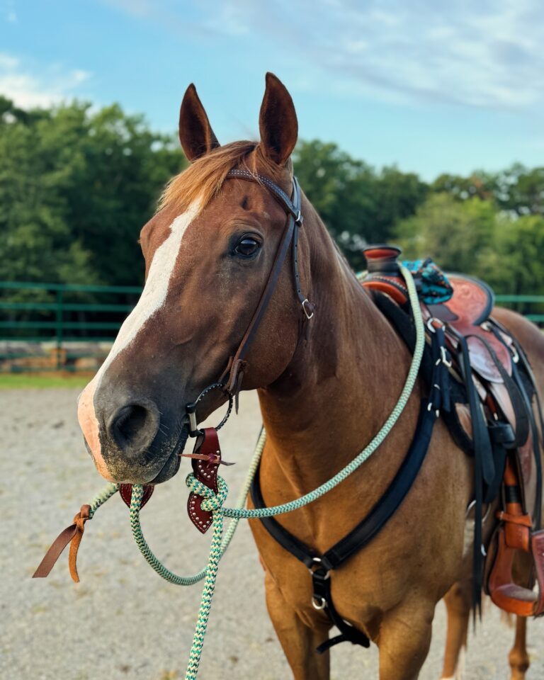 459944860 18077742577526951 764521426849760772 n 768x960