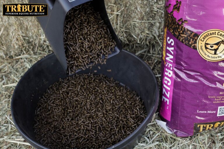 460180641 584497713901988 3931864751536670404 n 768x512