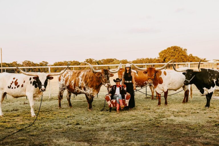 460294067 18454260751037033 4824897171637757458 n 768x512