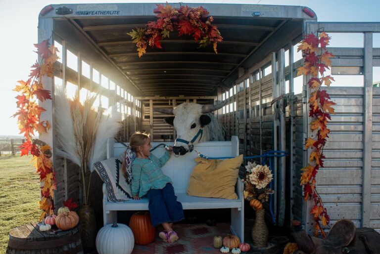 460653302 18454936219037033 255432051343052978 n 768x514