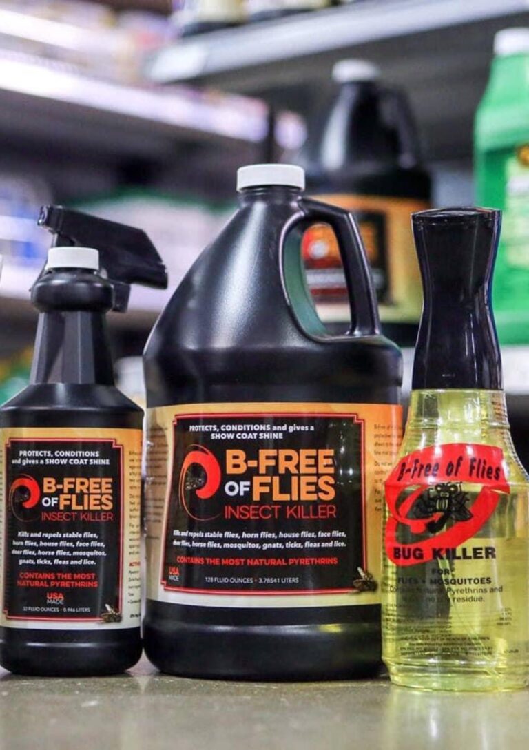 460720413 1049136493669017 3518148583818645722 n 768x1089