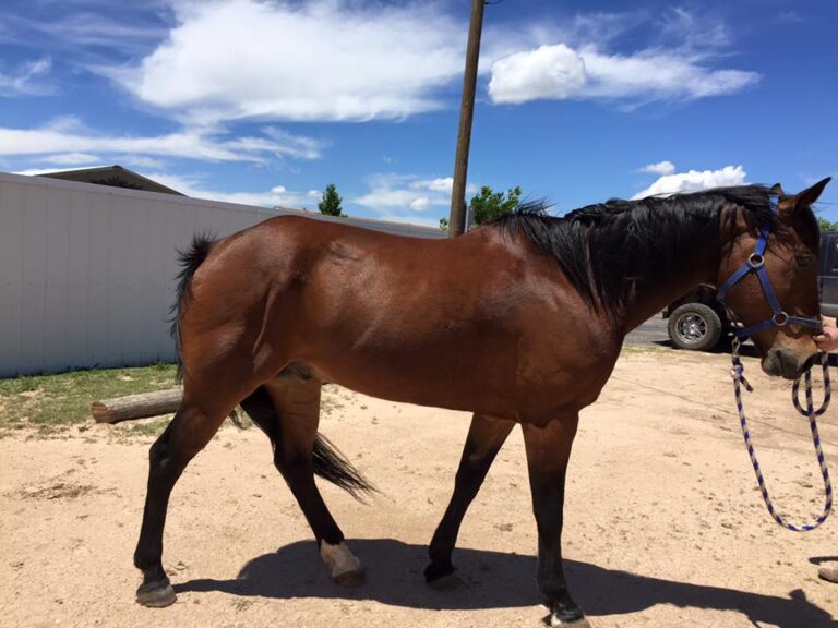 461089156 3781294992130248 6553578166217424553 n 768x576