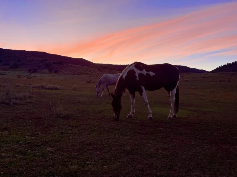 461206553 541973761690020 2393094489572666711 n 768x576