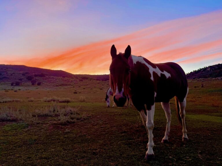 461225463 17987971595713717 7545802950888377732 n 768x576