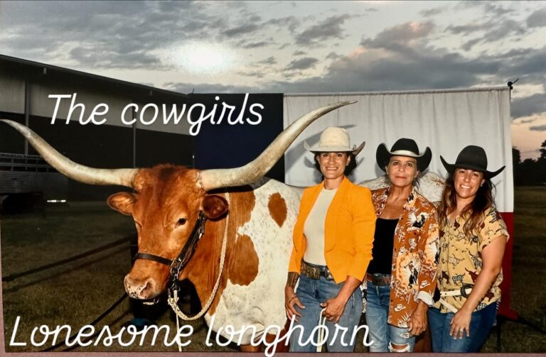 461498555 18456318691037033 3095491322364776943 n 768x503