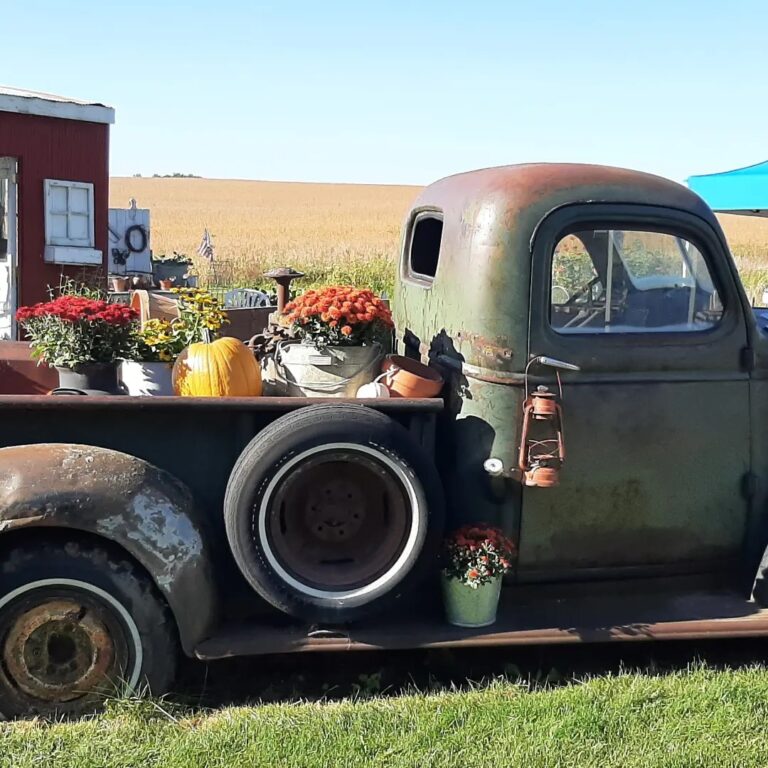 461593541 1076831457776621 2102761035039717257 n 768x768