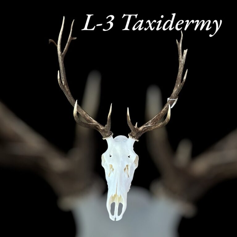 461728233 17882195016134978 8025942556798551469 n 768x768