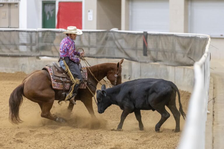 461743190 10231848372824510 5738225326646275505 n 768x512