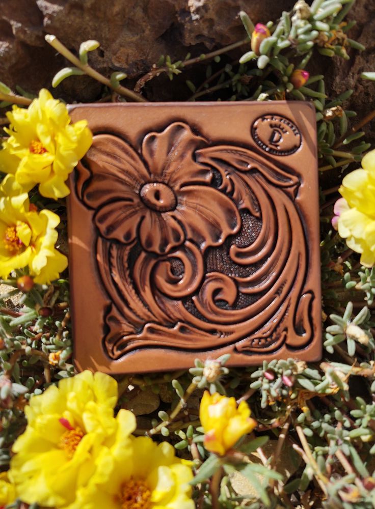 461791582 521877113782285 4363294934434157272 n