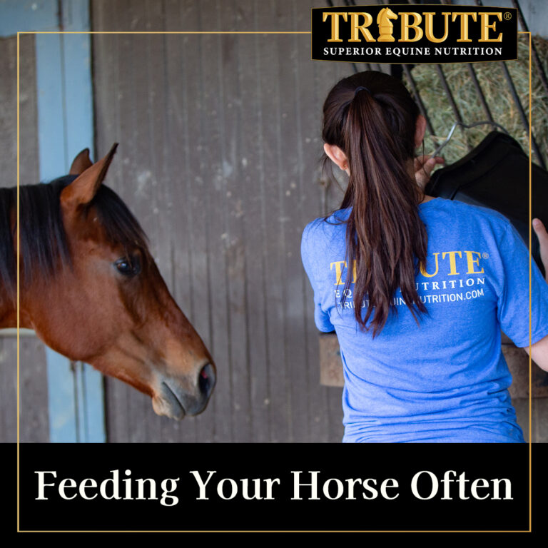 461948175 594129099605516 7680270304856600850 n 768x768