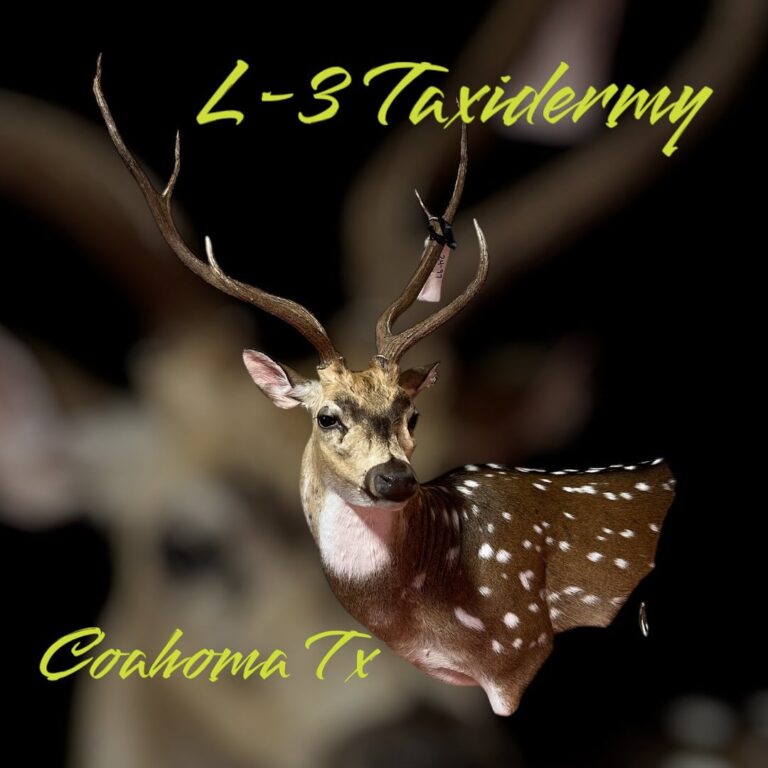 462114517 17882430522134978 5811390015484333792 n 768x768