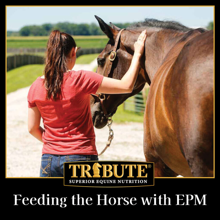 462422729 599146352437124 7681395162149613914 n 768x768