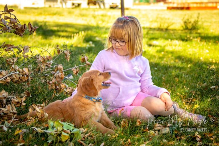 462892813 122137428080354739 5618955748813852145 n 768x512