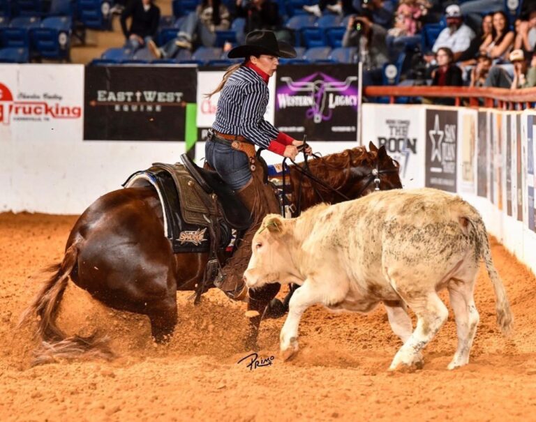 463474000 973887468112837 7194851947267191531 n 768x605